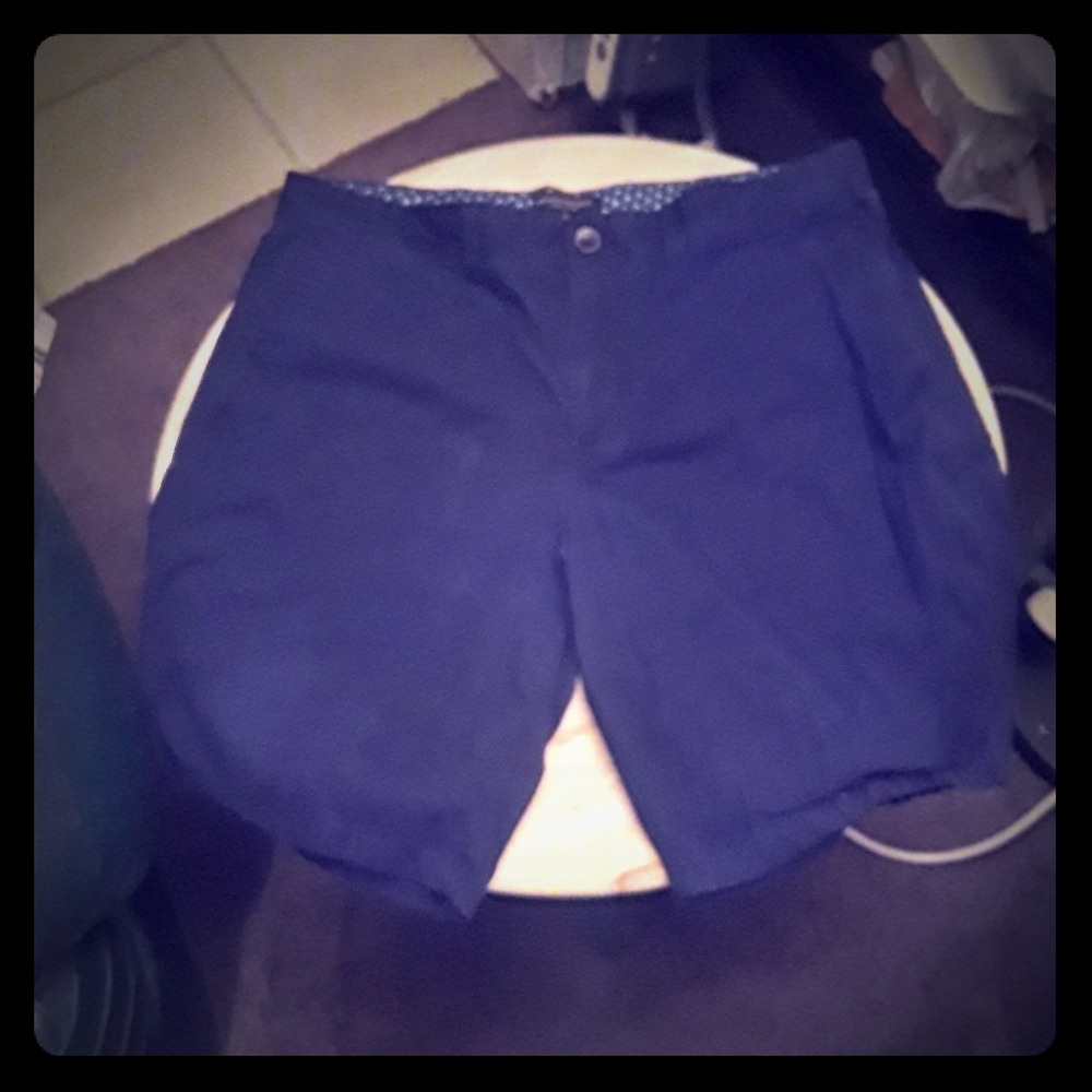 Banana republic shorts